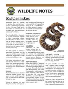 WILDLIFE NOTES Rattlesnakes Rattlesnakes belong to a subfamily of viperidae often called “pit vipers” because of bilateral sensory pits near the front of the head. These sensing