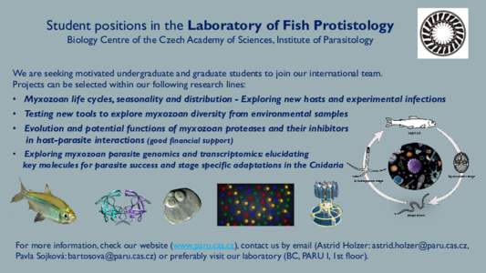 Student positions in the Laboratory of Fish Protistology Biology Centre of the Czech Academy of Sciences, Institute of Parasitology We are seeking motivated undergraduate and graduate students to join our international t