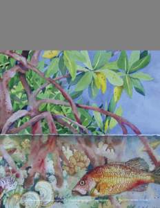 This mangrove painting was provided by Linda Soderquist ([removed]).  Fall 2010: Volume 14, Issue 3 Program update On Sept. 20, 2010, the Charlotte Harbor