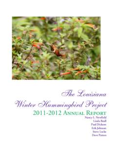 Winter Hummingbird Report.pmd