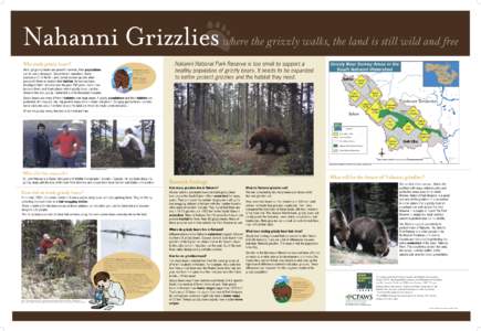 Nahanni Grizzlies poster 2b.indd