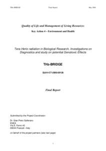 THz-BRIDGE  Final Report May 2004