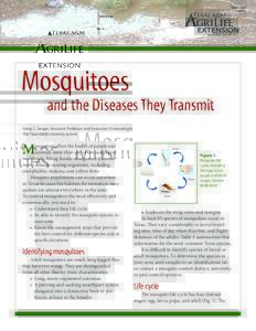 ENTOMosquitoes  and the Diseases They Transmit