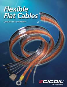 Flexible Flat Cables CAPABILITIES OVERVIEW The Clear Choice