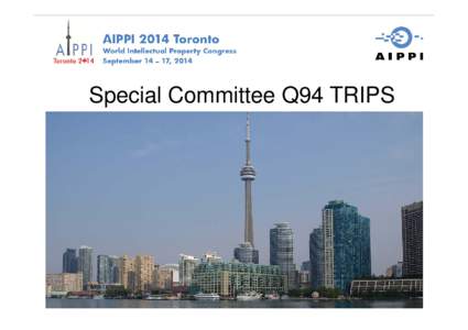 Special Committee Q94 TRIPS  1 Q94 Members •