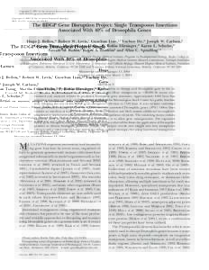 Copyright  2004 by the Genetics Society of America DOI: geneticsThe BDGP Gene Disruption Project: Single Transposon Insertions Associated With 40% of Drosophila Genes Hugo J. Bellen,* Robert W. Lev