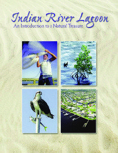 Sebastian Inlet  This publication was produced by the St. Johns River Water Management District