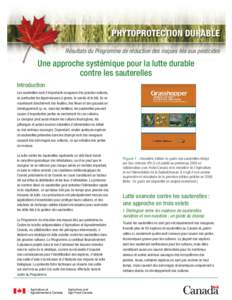 PHYTOPROTECTION DURABLE Résultats du Programme de réduction des risques liés aux pesticides Une approche systémique pour la lutte durable contre les sauterelles Introduction