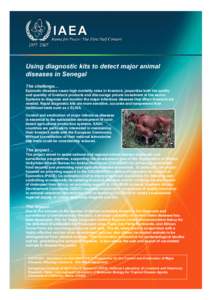 Using diagnostic kits to detect major animal diseases in Senegal The challenge… Epizootic diseases cause high mortality rates in livestock, jeopardize both the quality and quantity of livestock products and discourage 