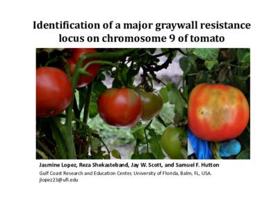 Identification of a major graywall resistance locus on chromosome 9 of tomato Jasmine Lopez, Reza Shekasteband, Jay W. Scott, and Samuel F. Hutton Gulf Coast Research and Education Center, University of Florida, Balm, FL