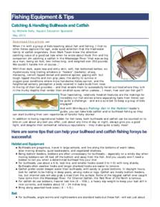 Fishing Equipment & Tips: Minnesota DNR