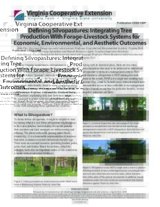 Publication CSES-146P  Defining Silvopastures: Integrating Tree Production With Forage-Livestock Systems for Economic, Environmental, and Aesthetic Outcomes John Fike, Extension Forage Specialist and Associate Professor,