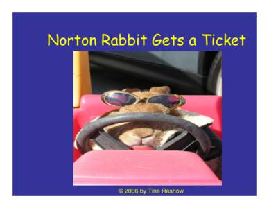 Norton Rabbit Gets a Ticket  © 2006 by Tina Rasnow This is Norton Rabbit. He is a good rabbit, but sometimes he makes mistakes that get him into trouble.
