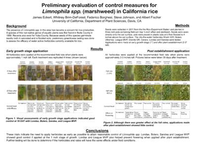 Preliminary evaluation of control measures for Limnophila spp. (marshweed) in California rice James Eckert, Whitney Brim-DeForest, Federico Borghesi, Steve Johnson, and Albert Fischer University of California, Department