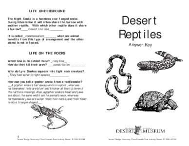 LIFE UNDERGROUND The Night Snake is a harmless rear fanged snake. During hibernation it will often share the burrow with another reptile. With which other reptile does it share a burrow?____Desert tortoise________ It is 