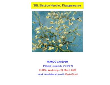 SBL Electron Neutrino Disappearance  MARCO LAVEDER Padova University and INFN EUROν Workshop - 24 March 2009 work in collaboration with Carlo Giunti