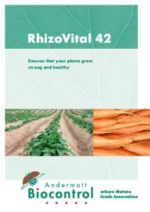 RhizoVital 42 Ensures that your plants grow strong and healthy where Nature leads Innovation