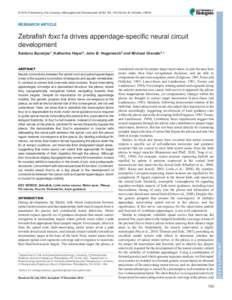 © 2015. Published by The Company of Biologists Ltd | Development, doi:devRESEARCH ARTICLE Zebrafish foxc1a drives appendage-specific neural circuit development