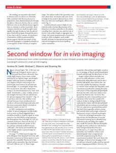 Bioimaging: Second window for in vivo imaging