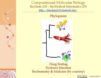 Computational Molecular Biology Biochem 218 – BioMedical Informatics 231 http://biochem218.stanford.edu/ Phylogenies