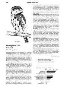 586  Strigidae: typical owls