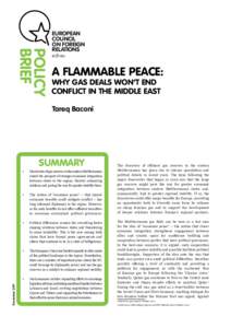 POLICY BRIEF EUROPEAN COUNCIL ON FOREIGN