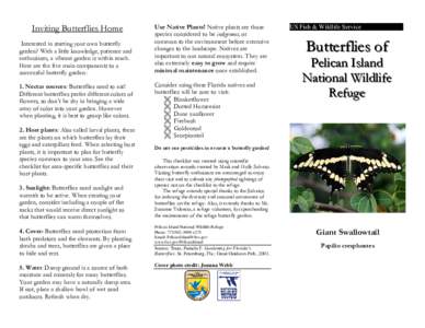 Microsoft Word - Butterfly leaflet 5_2010 Final