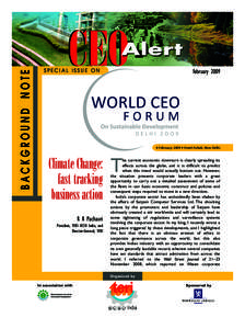 CEO Alert-Feb2009-CEO forum Background paper.p65