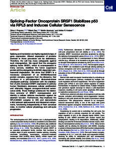 Please cite this article in press as: Fregoso et al., Splicing-Factor Oncoprotein SRSF1 Stabilizes p53 via RPL5 and Induces Cellular Senescence, Molecular Cell (2013), http://dx.doi.org[removed]j.molcel[removed]Molec