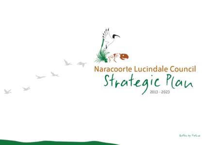 Naracoorte Lucindale Council  Strategic PlanBetter by Nature