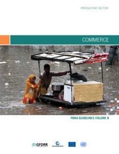 PRODUCTIVE SECTOR  COMMERCE PDNA GUIDELINES VOLUME B
