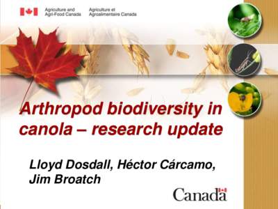 Arthropod biodiversity in canola – research update Lloyd Dosdall, Héctor Cárcamo, Jim Broatch  Background
