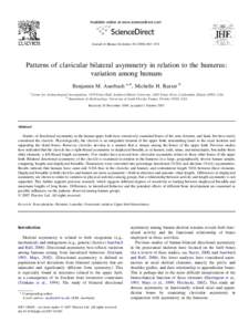 Available online at www.sciencedirect.com  Journal of Human Evolution663e674 Patterns of clavicular bilateral asymmetry in relation to the humerus: variation among humans
