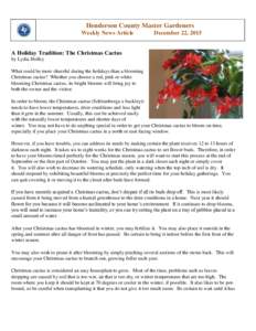Henderson County Master Gardeners Weekly News Article December 22, 2015  A Holiday Tradition: The Christmas Cactus