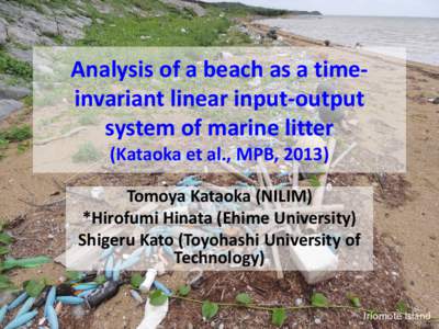 Analysis of a beach as a time-invariant linear input-output system of marine litter