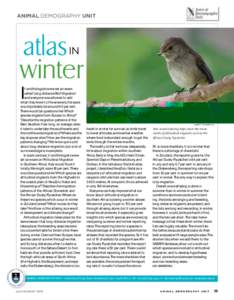 animal demography unit  atlas winter in