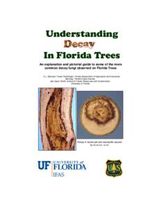 Understanding Decay In Florida Trees An explanation and pictorial guide to some of the more common decay fungi observed on Florida Trees E.L. Barnard, Forest Pathologist, Florida Department of Agriculture and Consumer