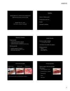 Traumatology / Gram-negative bacteria / Pseudomonadales / Bacteria / Chronic wound / Injuries / Pseudomonas aeruginosa / Biofilm / Venous ulcer / Medicine / Biology / Microbiology