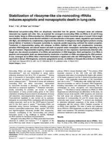 Citation: Cell Death and Disease[removed], e281; doi:[removed]cddis[removed] & 2012 Macmillan Publishers Limited All rights reserved[removed]www.nature.com/cddis  Stabilization of ribozyme-like cis-noncoding rRNAs
