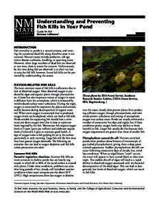 Understanding and Preventing Fish Kills in Your Pond Guide W-105 Rossana Sallenave1