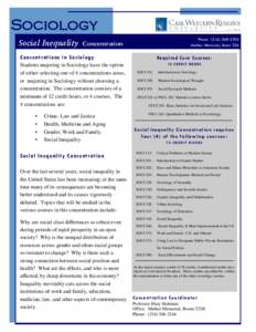Social Inequality Concentration Flyer