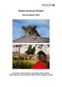 Ruaha Carnivore Project Annual Report 2013 © Andrew Harrington  Amy Dickman, Maurus Msuha, Ayoub Msago, Monty Kalyahe,