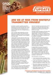 NORTHERN REGION  ARE WE AT RISK FROM WHITEFLY TRANSMITTED VIRUSES? In October a research workshop was held in Brisbane to discuss whitefly transmitted viruses,