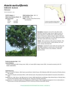 Acacia auriculiformis earleaf acacia Fabaceae Common Synonyms: none