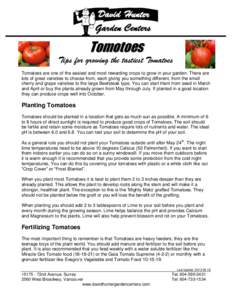 Tomotoes Tips for growing the tastiest Tomatoes Tomatoes are one of the easiest and most rewarding crops to grow in your garden. There are lots of great varieties to choose from, each giving you something different, from