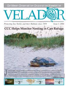 Caribbean Conservation Corporation Newsletter  Protecting Sea Turtles and their Habitats since 1959 Issue 3, 2004