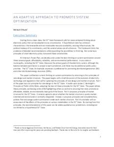 AN ADAPTIVE APPROACH TO PROMOTE SYSTEM OPTIMIZATION Michael O’Boyle1 Executive Summary Starting from a clean slate, the 51st State framework calls for unencumbered thinking about