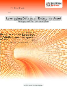 Leveraging Data as an Enterprise Asset Emergence of the Chief Data Oﬃcer A Data Driven Business Report  Leveraging Data as an Enterprise Asset: