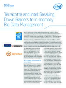 White Paper Intel® Xeon® Processor Big Data Management Terracotta and Intel: Breaking Down Barriers to In-memory