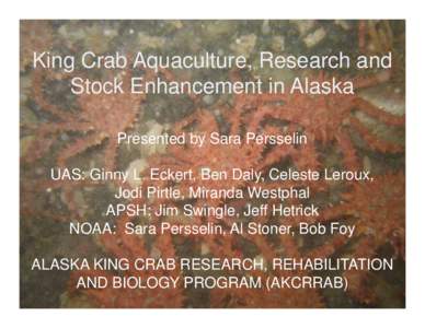 King Crab Aquaculture, Research and Stock Enhancement in Alaska Presented by Sara Persselin UAS: Ginny L. Eckert, Ben Daly, Celeste Leroux, Jodi Pirtle, Miranda Westphal APSH: Jim Swingle, Jeff Hetrick